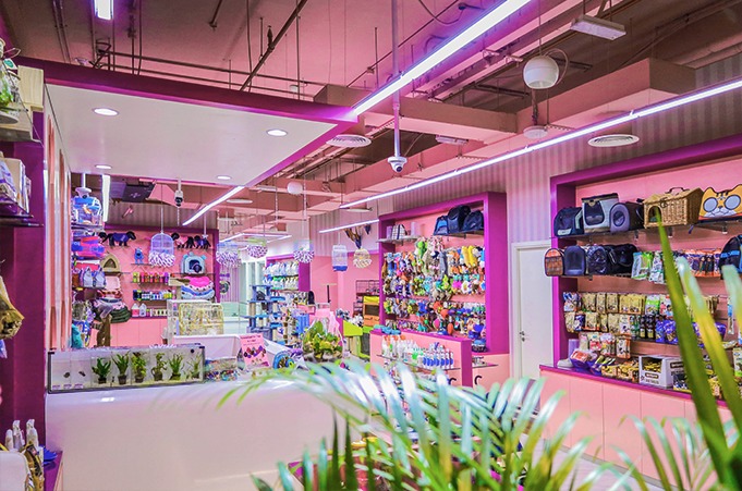 Dubai pet food shop outlet
