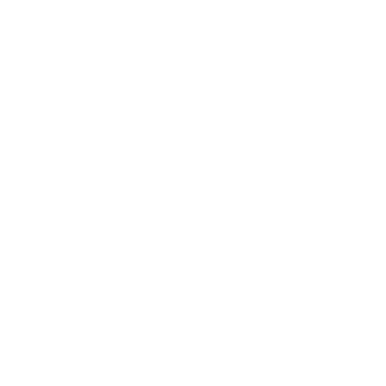 Lush Handmade Cosmetics