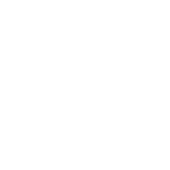 The Best Sneaker Store in Dubai