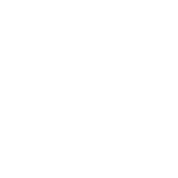 Go Sport