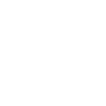 Levi Strauss & Co