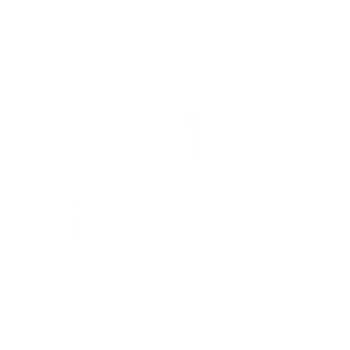 Sal's Burger
