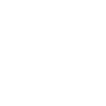 Daiso Japan