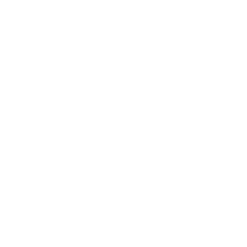 UGLY BURGER LLC